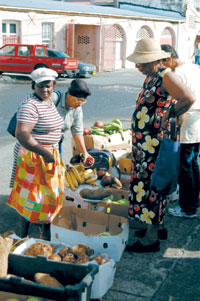 BANANI2.JPG (27026 bytes)