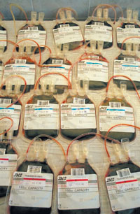 DONORI.JPG (24832 bytes)