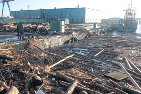 SALACGRIVA.JPG (23180 bytes)