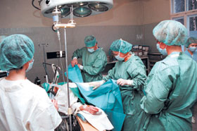 RENEMANIS.JPG (20020 bytes)