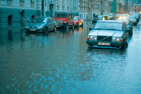 PLUDI.JPG (19012 bytes)