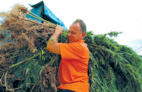 GREECE.JPG (20802 bytes)