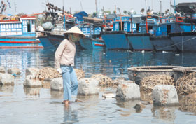 VJETNAMA1.JPG (20166 bytes)