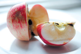 ABOLS1.JPG (10937 bytes)