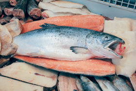 ZIVS.JPG (18391 bytes)