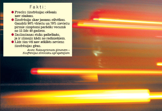 SHIZO.JPG (45113 bytes)