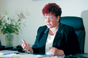 STAKE1.JPG (13817 bytes)