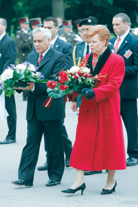 VIKE1.JPG (21829 bytes)