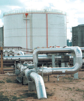 ZUPA.JPG (25562 bytes)