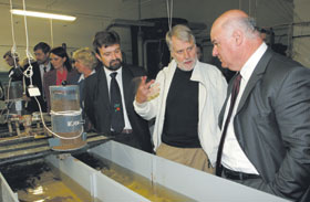 BORGS2.JPG (16311 bytes)