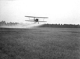 VARA02.JPG (11502 bytes)