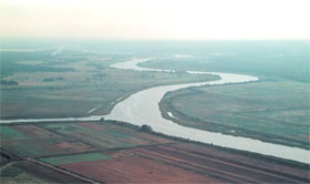 LIELUPE.JPG (8836 bytes)