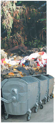 MISKASTE.JPG (28627 bytes)