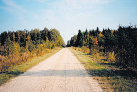 CELI03.JPG (16221 bytes)