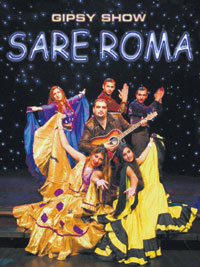 PLAKATS.JPG (25268 bytes)