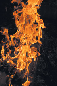 UGUNS.JPG (21864 bytes)