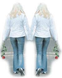 VES.JPG (9802 bytes)