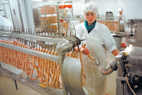 MIESNIEKS6.JPG (20045 bytes)