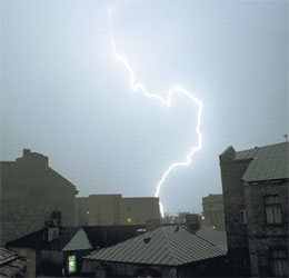 ZIBINS.JPG (8791 bytes)