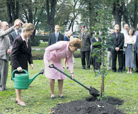 VIKE.JPG (29574 bytes)