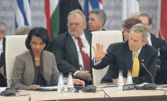 07.JPG (19434 bytes)