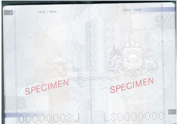 07.JPG (54332 bytes)