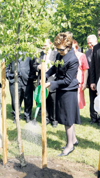 00.JPG (34242 bytes)