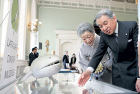 32.JPG (16002 bytes)