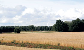 00.JPG (11655 bytes)