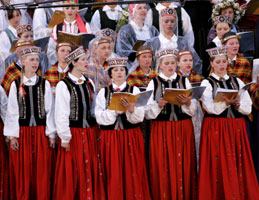 DZ1.JPG (24446 bytes)