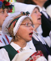 07.JPG (11627 bytes)