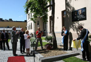 Z02.JPG (22355 bytes)