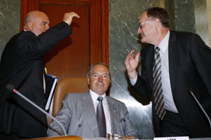 01.JPG (16186 bytes)