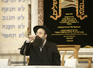 03.JPG (18915 bytes)