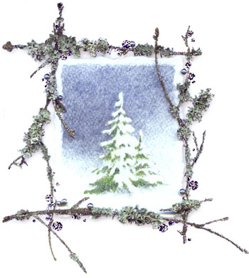 ZIEMA.JPG (31628 bytes)